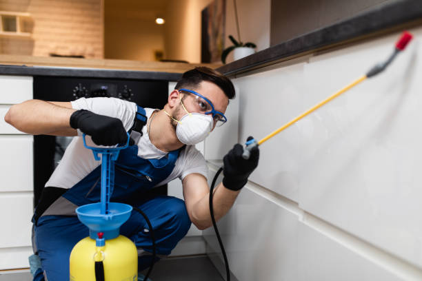 Professional Pest Control in Myrtle Grove, NC