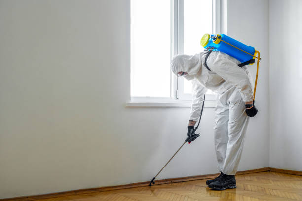 Best Rat Extermination Near Me  in Myrtle Grove, NC