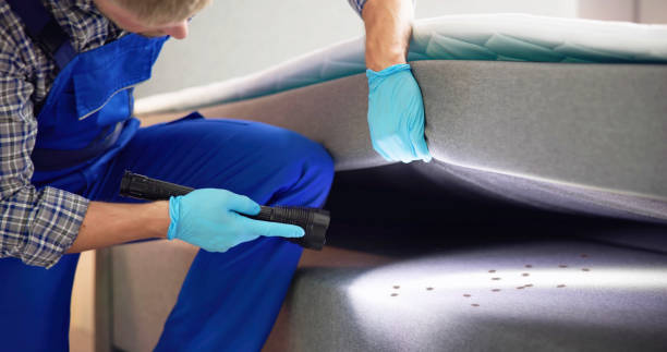 Best Ant Control Services  in Myrtle Grove, NC