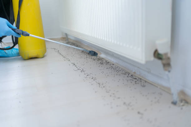 Best Pest Removal Services  in Myrtle Grove, NC