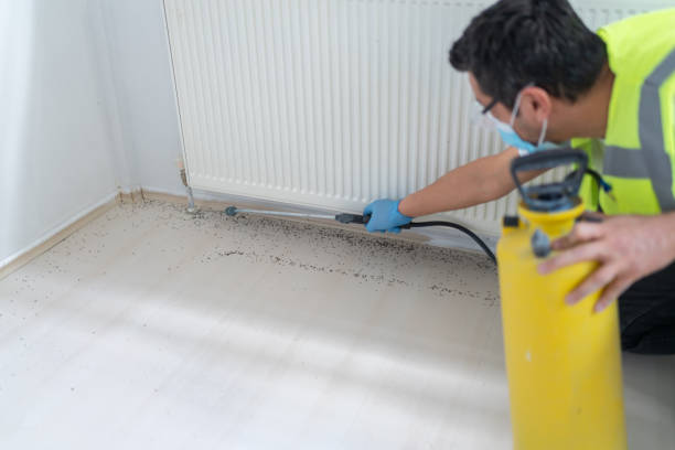 Best Mosquito Control Services  in Myrtle Grove, NC