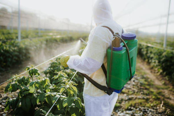 Best Flea Control Services  in Myrtle Grove, NC